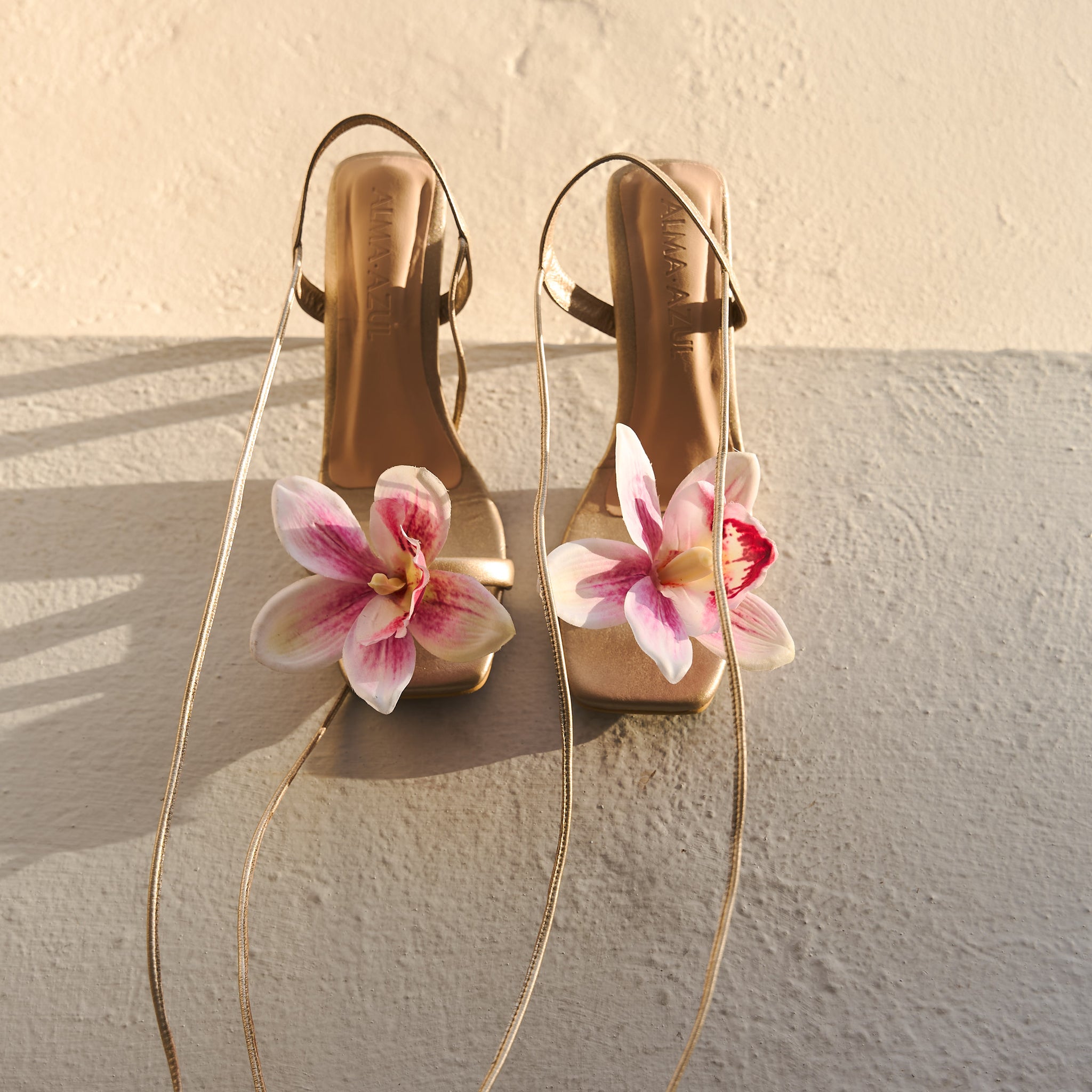 Orquídea cuero oro 7.5