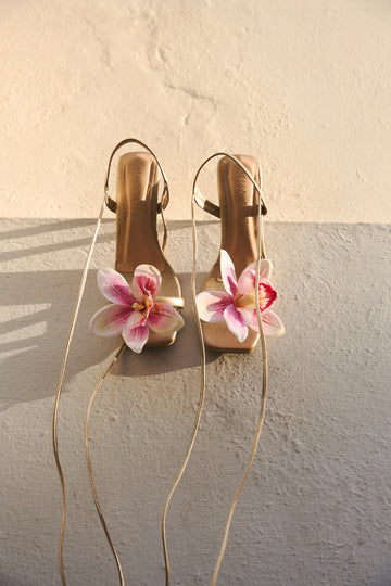 Orquídea cuero oro 7.5