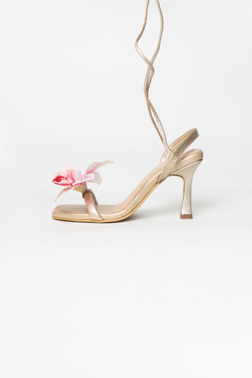 Orquídea cuero oro 7/2